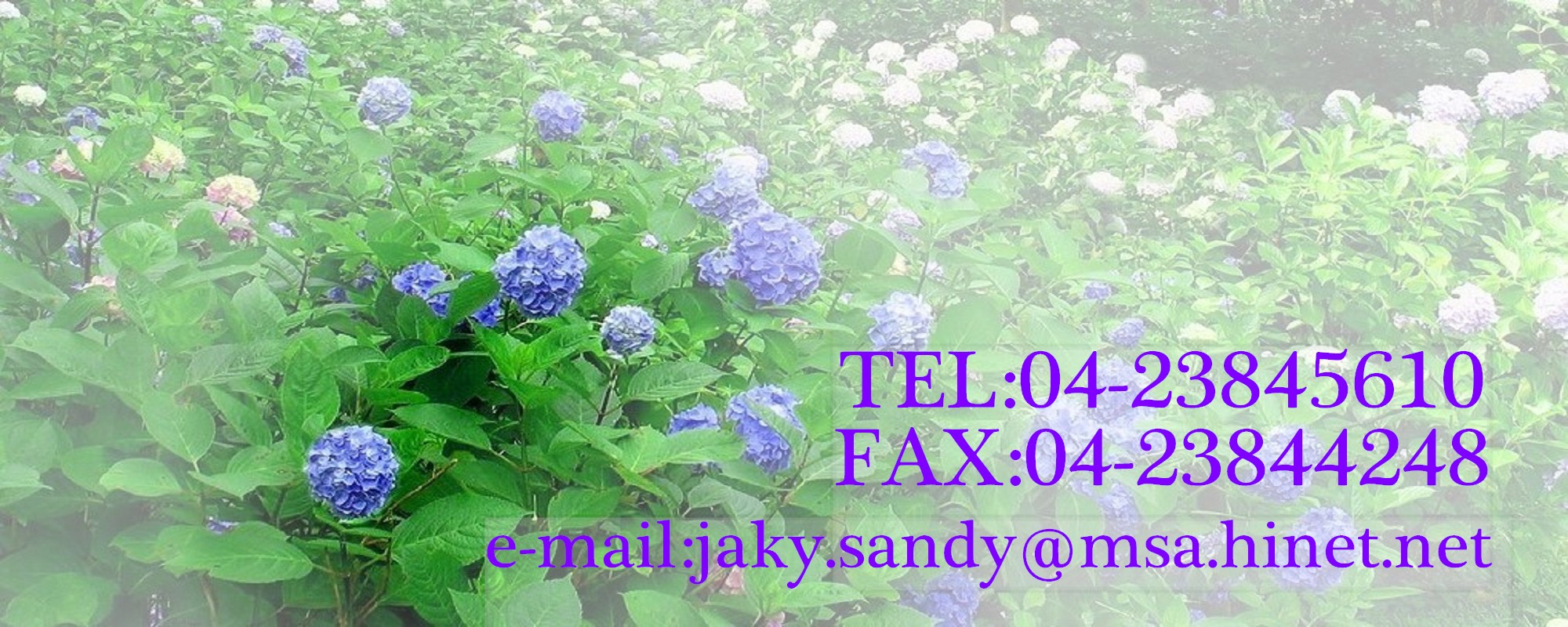 常春藤花坊  TEL:04-23845610  FAX:04-23844248